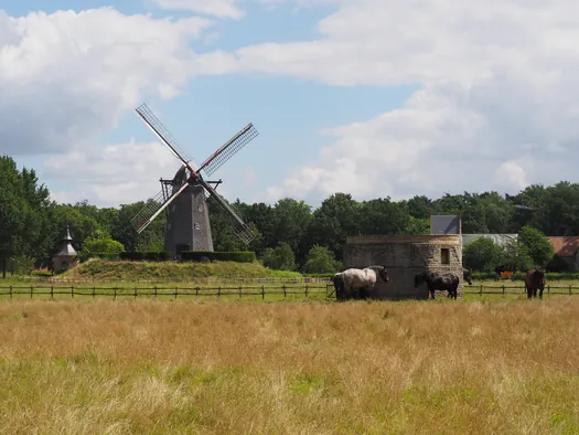 Openluchtmuseum Bokrijk (België)